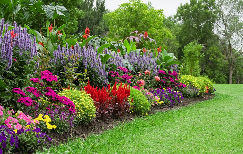 What Plants to Select for a Garden