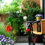 Small Balcony Garden – A Perfect Addition to Any Patio