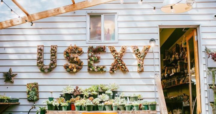 Sustainable Urban Gardening Techniques for Small Spaces
