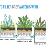 Greywater Recycling Systems: Your Garden’s Secret Weapon for a Greener Home