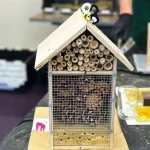 Building Wildlife Habitat Structures for Beneficial Insects and Amphibians