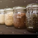 The Science and Practice of Seed Saving for Heirloom and Climate-Resilient Varieties