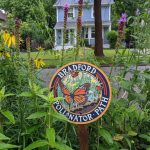 The Complete Beginner’s Roadmap to Establishing a Native Plant Pollinator Corridor