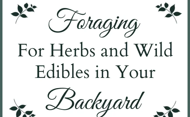 Foraging and Ethically Cultivating Native ‘Weeds’ for Food and Medicine