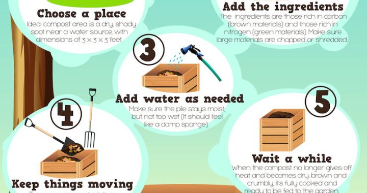 Gardening for Neurological Health: How Dirt, Plants, and Sunlight Can Grow a Healthier Brain